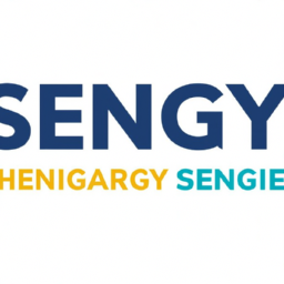 senergy energy services