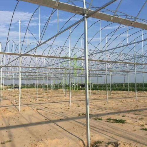 Multi-span Greenhouse