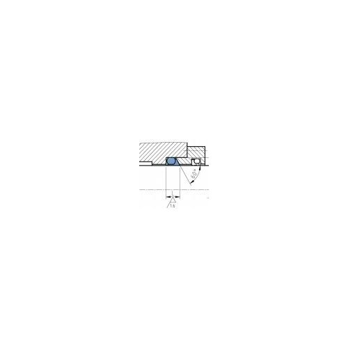 slip ring seal   