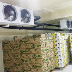 cold room manufacturer