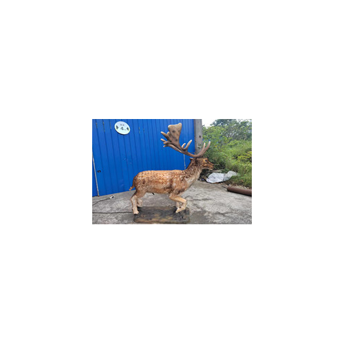 Realistic Animatronic Animals for Sale