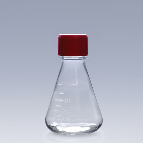 erlenmeyer flask