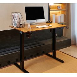 single motor vs dual motor standing desk